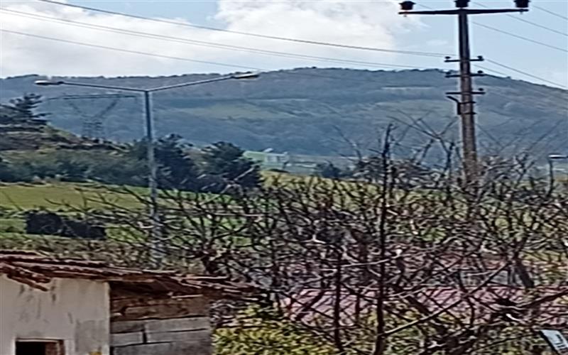 Fonksiyon 